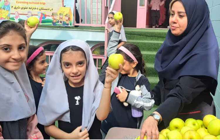 روز جهانی سیب 7