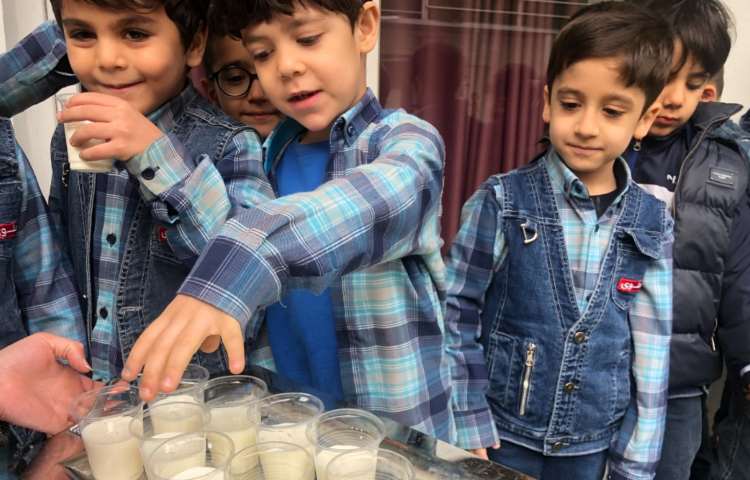 روز جهانی شیر 1