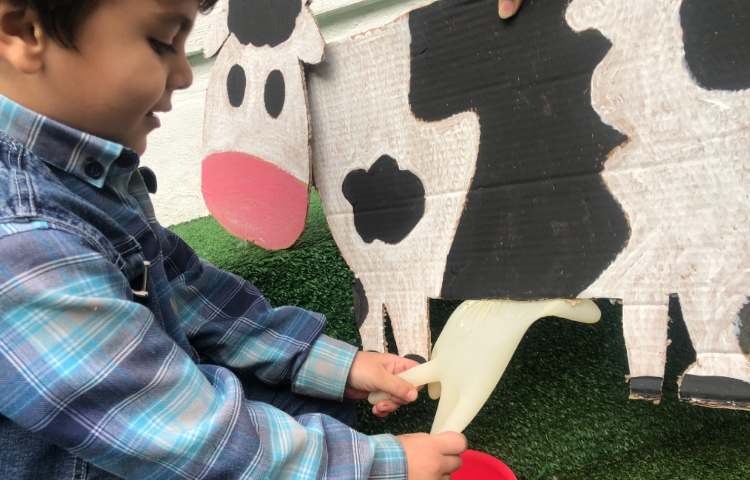 روز جهانی شیر