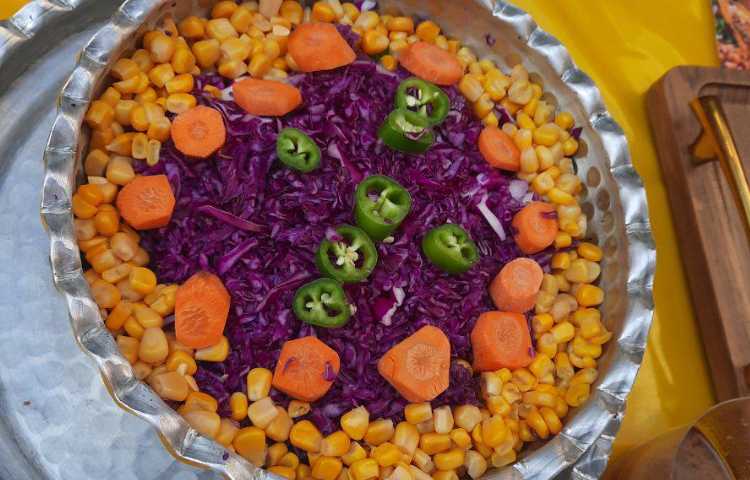 روز جهانی غذا 15