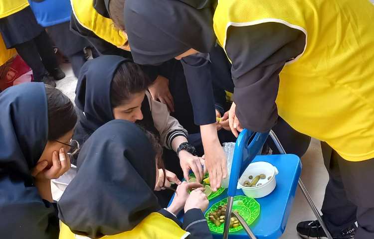 روز جهانی غذا 26