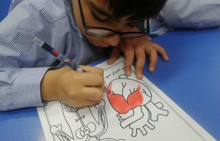 روز جهانی قلب گرامی باد 4