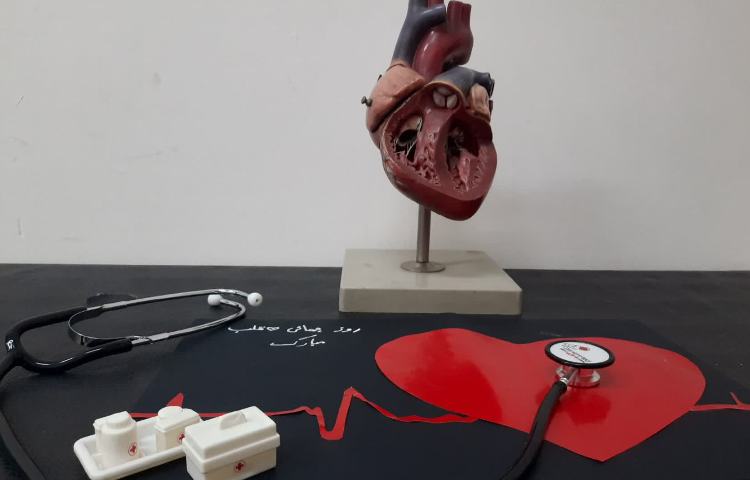 روز جهانی قلب 2