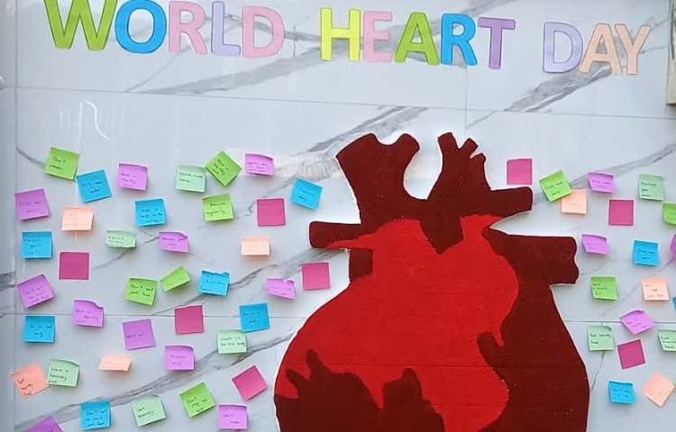 روز جهانی قلب (World Heart Day) 7