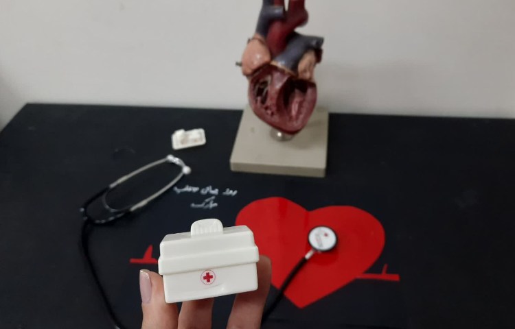 روز جهانی قلب