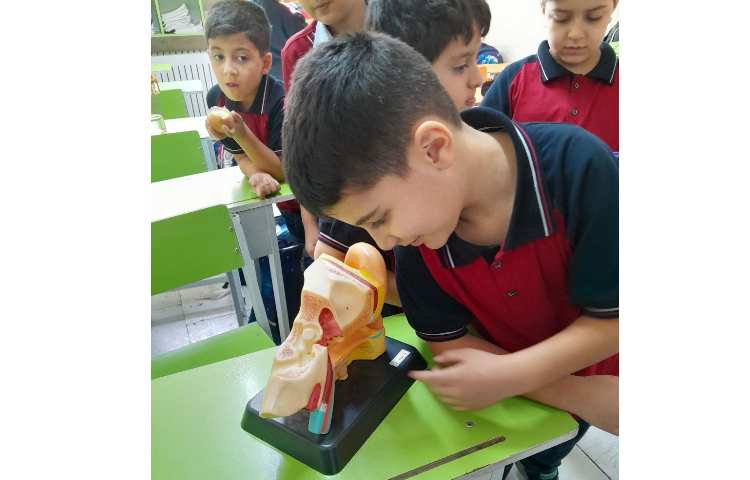 روز جهانی ناشنوایان و آموزش به دانش آموزان 2