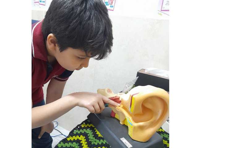 روز جهانی ناشنوایان و آموزش به دانش آموزان 24