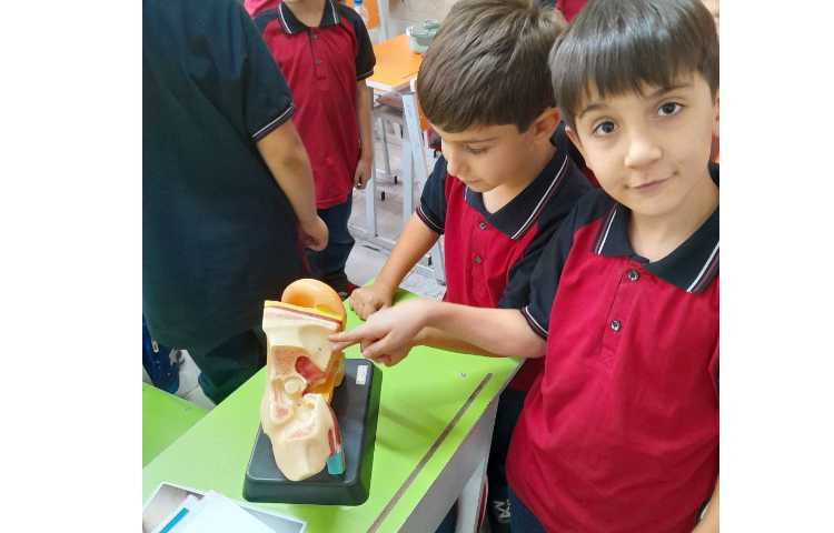 روز جهانی ناشنوایان و آموزش به دانش آموزان 3