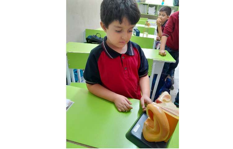 روز جهانی ناشنوایان و آموزش به دانش آموزان 4