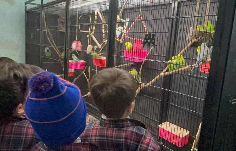 روز حیات وحش 11