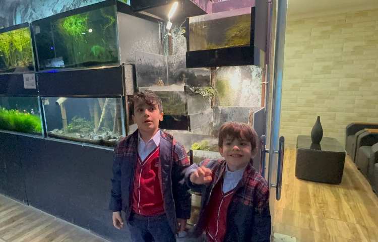 روز حیات وحش 13