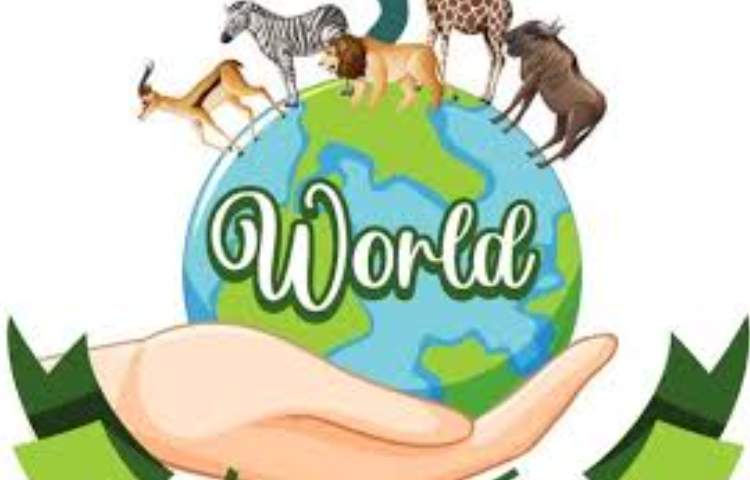 روز حیات وحش 2