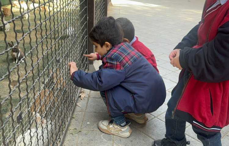 روز حیات وحش 2