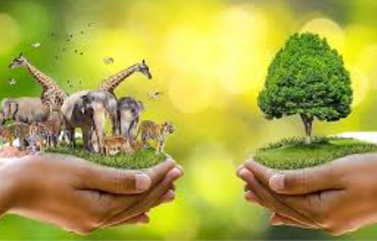 روز حیات وحش 3