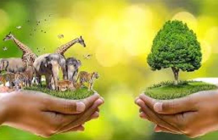 روز حیات وحش 3