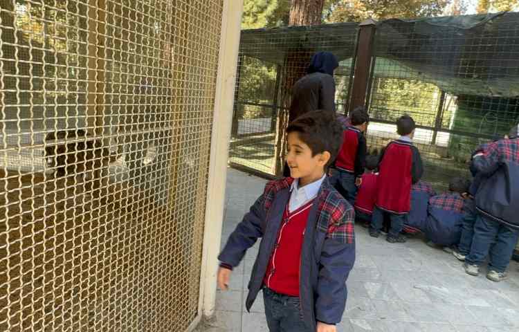 روز حیات وحش 4