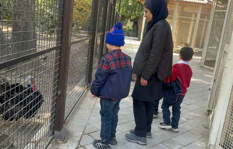 روز حیات وحش 5