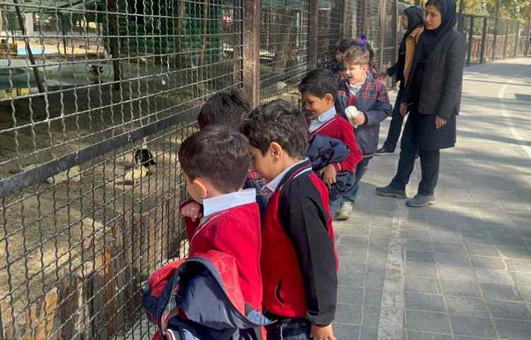 روز حیات وحش 6