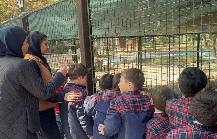 روز حیات وحش 8