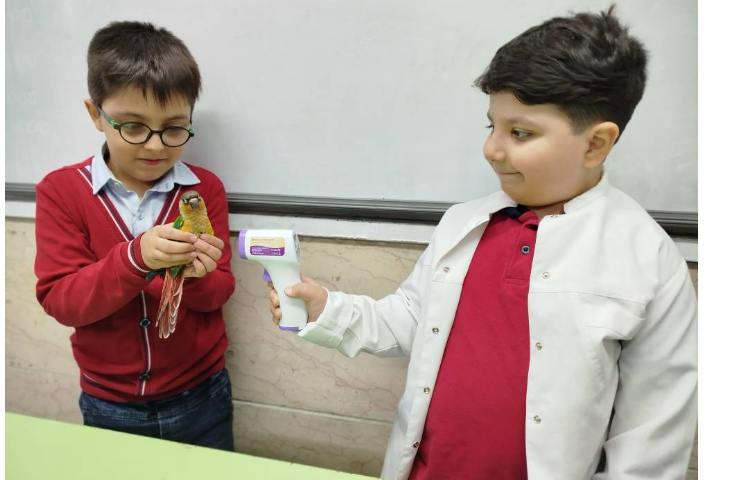 روز دامپزشکی 2