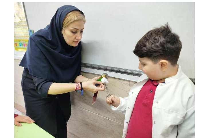 روز دامپزشکی 3