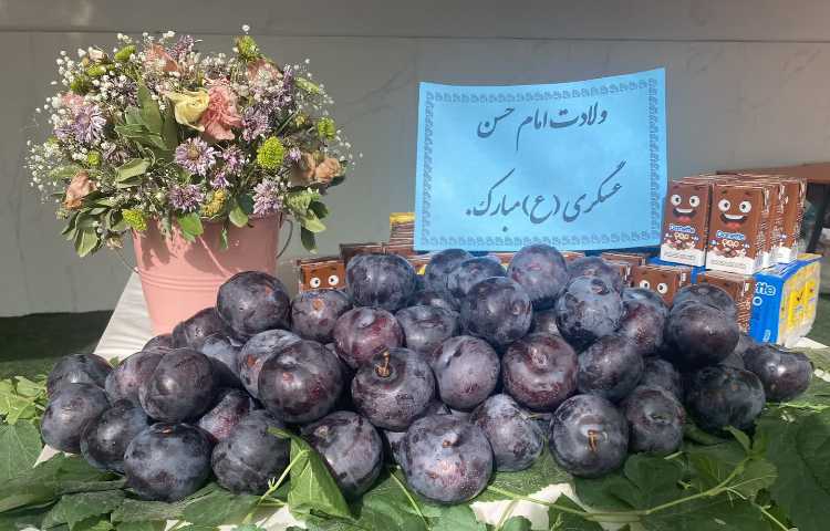 روز دانش آموز 7