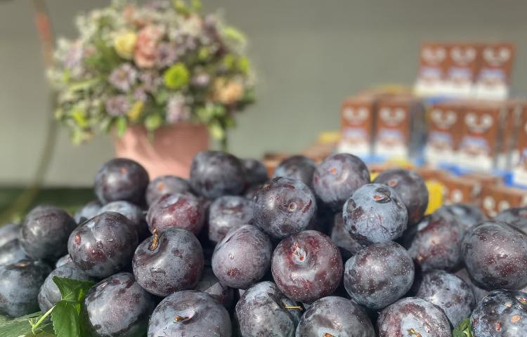 روز دانش آموز 8