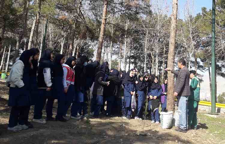 روز درختکاری گرامی باد 3