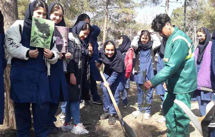 روز درختکاری گرامی باد 4