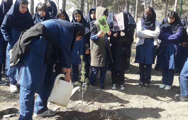 روز درختکاری گرامی باد 5