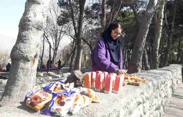 روز درختکاری گرامی باد 6