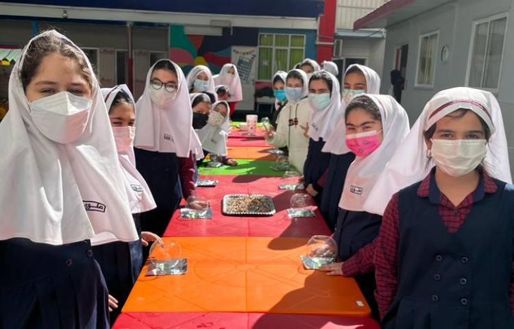 روز درختکاری 1