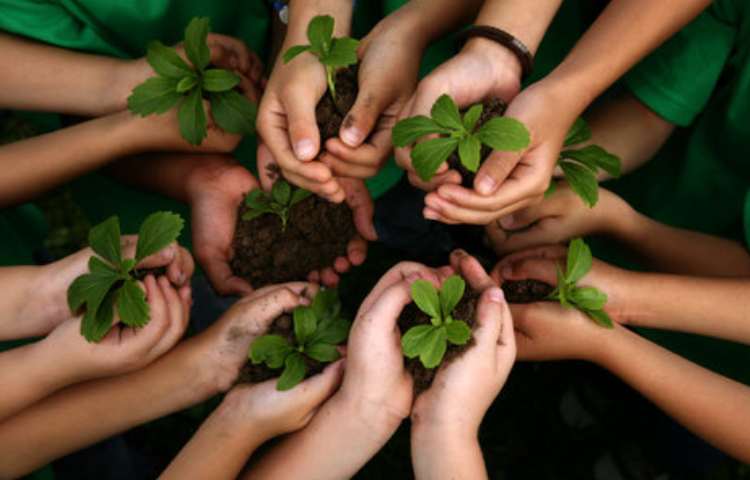 روز درختکاری 1