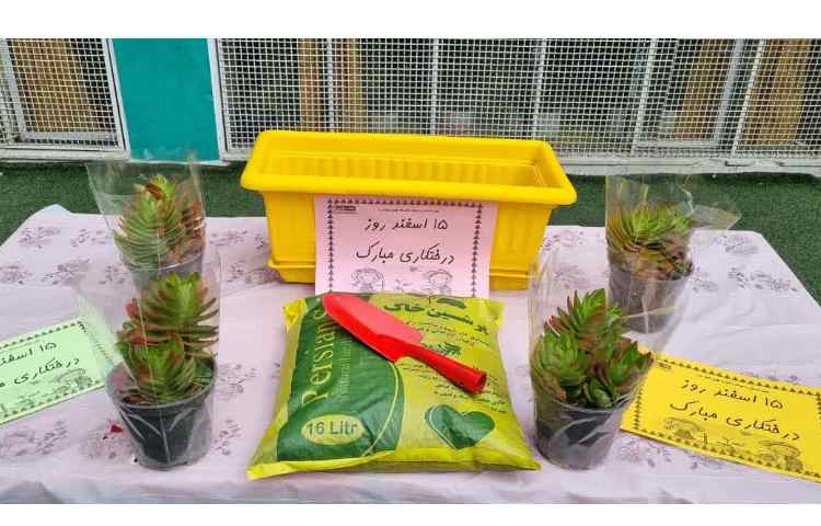 روز درختکاری 1