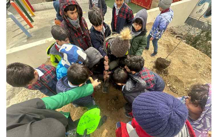 روز درختکاری 1