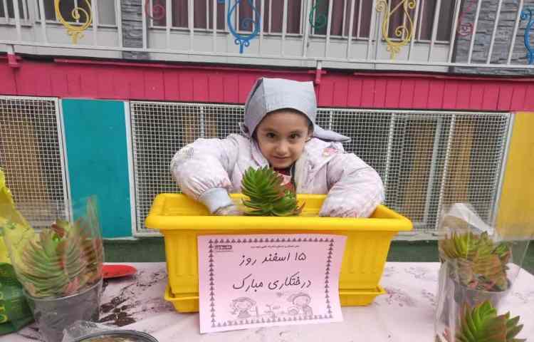 روز درختکاری 10