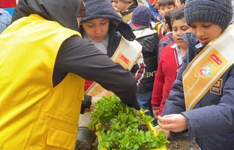 روز درختکاری 11