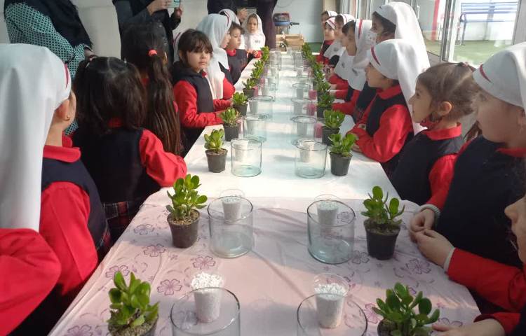 روز درختکاری 12