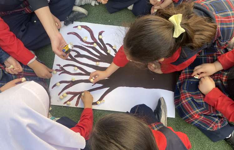 روز درختکاری 14