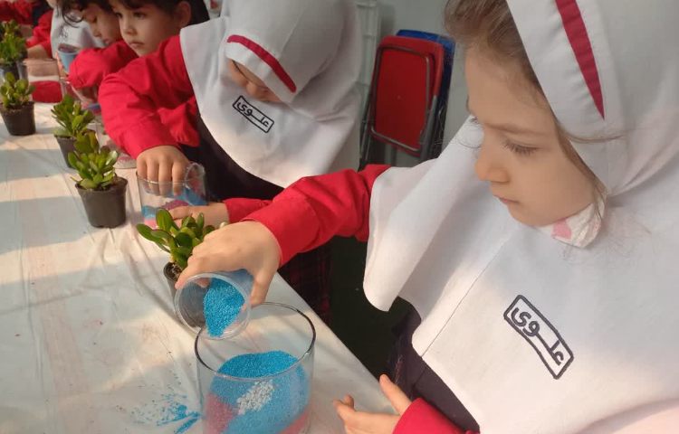 روز درختکاری 14