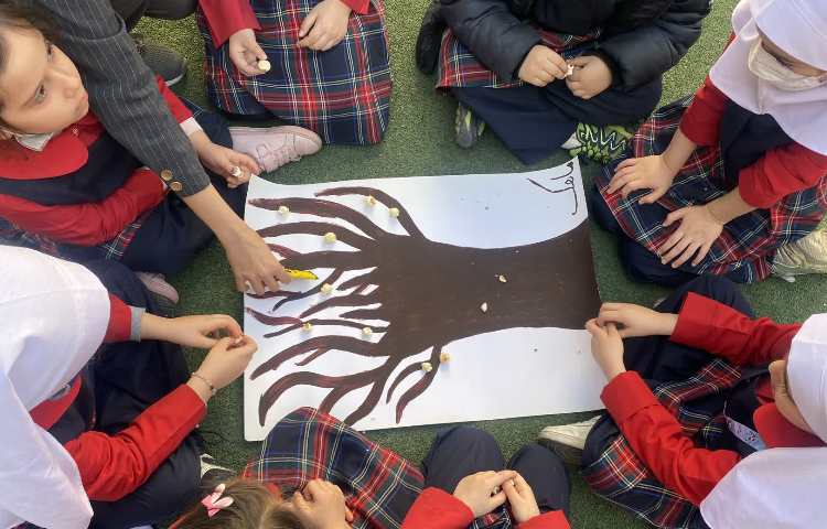 روز درختکاری 15