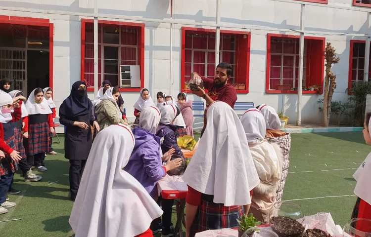 روز درختکاری 16