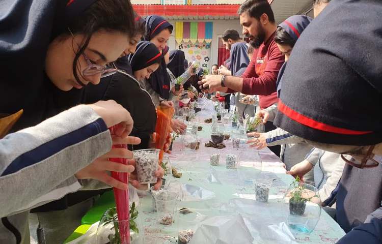 روز درختکاری 17