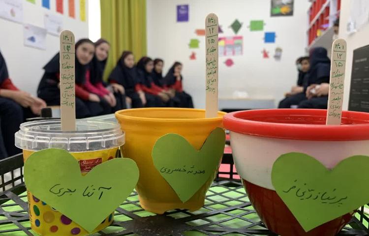 روز درختکاری 19