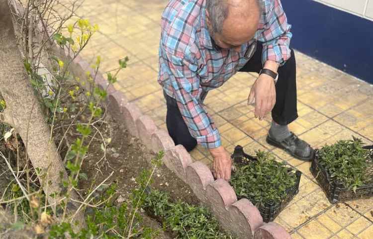 روز درختکاری 2