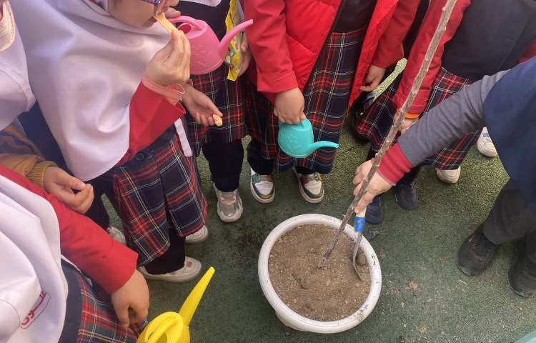 روز درختکاری 2