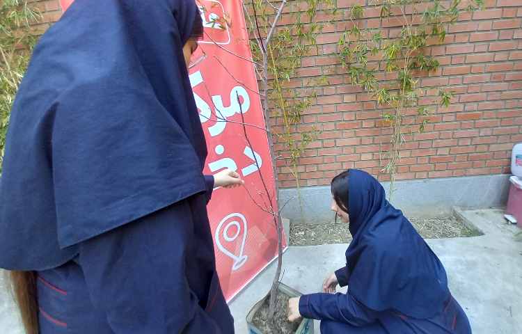 روز درختکاری 2