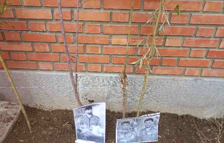 روز درختکاری 2