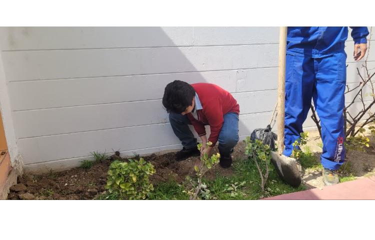 روز درختکاری 2