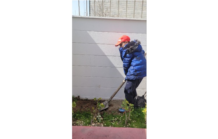 روز درختکاری 2